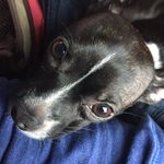 Profile Picture of kylemcginley (@kylemcginley) on Instagram