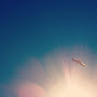 Profile Picture of Danielle Kummer (@@DanielleKummer) on Tiktok