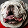 Profile Picture of Eric Gillespie (@Ricky 4) on Flickr