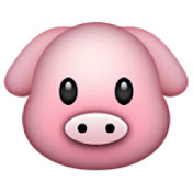 Profile Picture of Kit Yu (@kitboy) on Youtube