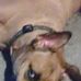Profile Picture of Tim Davis (@tim.davis.5602) on Facebook