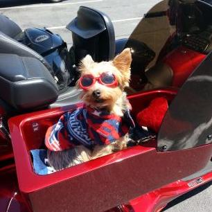 Profile Picture of Steven DeMello (@DeBigstev4) on Twitter