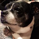 Profile Picture of Miranda Faust (@mirfymirfmirf) on Instagram