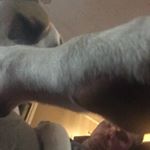 Profile Picture of therealtravisshelly (@therealtravisshelly) on Instagram