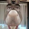 Profile Picture of Cory Keleher (@yrockeleher) on Tiktok