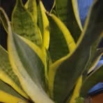 Profile Picture of Robert Martinec (@robert.martinec.946) on Facebook