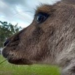 Profile Picture of Doris Terry (@terrydoris) on Instagram