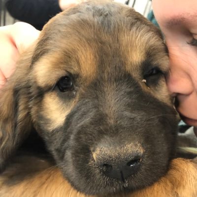 Profile Picture of Andy C (@Andy13Carpenter) on Twitter