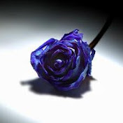 Profile Picture of Thomas Krauss (@LaDameDeMonteCarlo) on Youtube