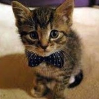 Profile Picture of Gavin Corey (@gavin-corey-3) on Quora