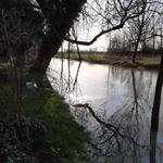 Profile Picture of peter Gooderham (@petergooderhamgardenservices) on Instagram