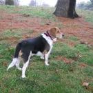 Tammy Files - Pinterest Profile Picture of Tammy Files (@tjfiles) on Pinterest