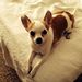 Profile Picture of Darrell Haugen (@darrell0875) on Pinterest