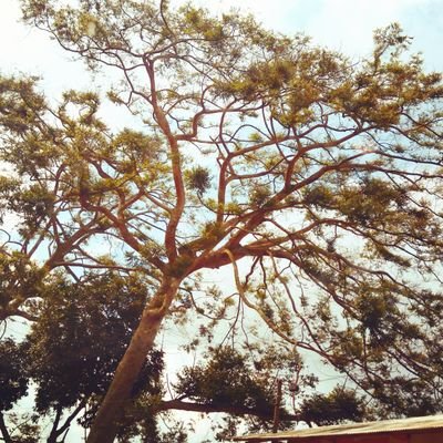 Profile Picture of Joseph H. D. (@jo_akai1412) on Twitter