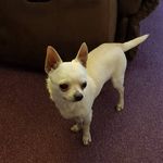 Profile Picture of Debbie Queeney Needham (@tweetypiedebs) on Instagram