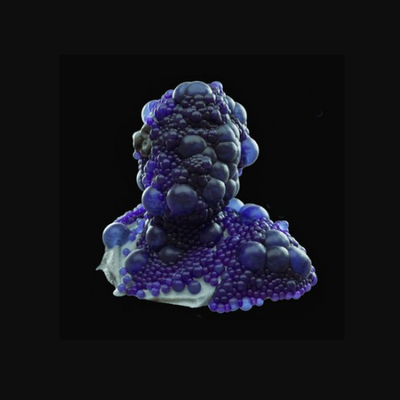 Profile Picture of Justine Hudock (@grotesquelumps) on Twitter