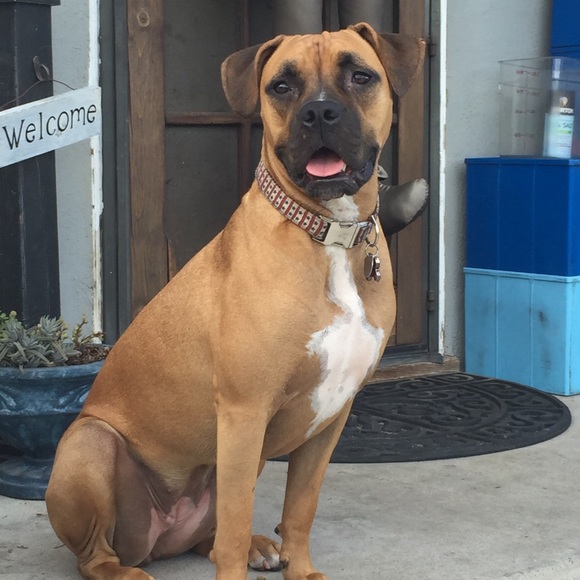 Profile Picture of Scott Harvell (@fasthoggen1) on Poshmark