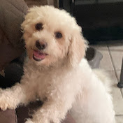 Profile Picture of Lucia Salgado (@Salgadolucia1) on Youtube