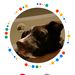 Profile Picture of Christopher Chenault (@chenaultch) on Pinterest