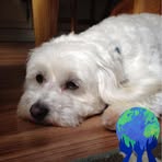 Profile Picture of Rose Mattes (@rose.mattes.1) on Facebook