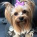 Profile Picture of Nancy Bard (@nancy.bard.73) on Facebook
