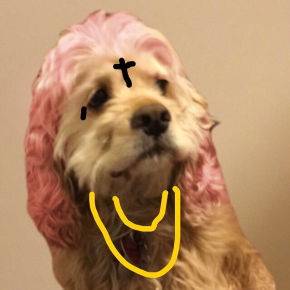 Profile Picture of Donny Madland (@donny08) on Poshmark