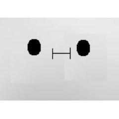 Profile Picture of Gavin (@GavinTwitttBird) on Twitter