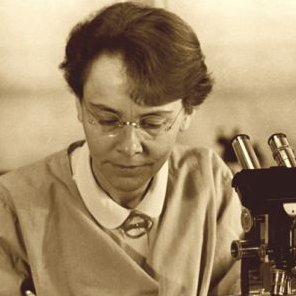 Profile Picture of Barbara McClintock (@bmcclintock_) on Twitter