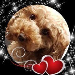 Nadia Negro - Tiktok Profile Picture of Nadia Negro (@nadianegro3) on Tiktok