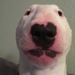 Follow for half decent memes - Instagram Profile Picture of Follow for half decent memes (@windnextmemz) on Instagram