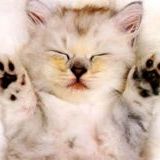 Profile Picture of Stacey-Dennis Davidson (@leavinglv4ever) on Pinterest