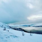 Profile Picture of Scolaro (@sam.scolaro) on Instagram