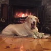 Profile Picture of Paul Hancock (@@2181697864) on Tiktok