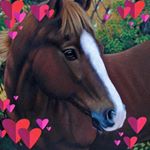 Profile Picture of Jean Anne Blessing (@jeananneblessing) on Instagram