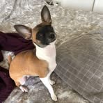 Profile Picture of Hiromi Bird (@hiromi.bird) on Facebook