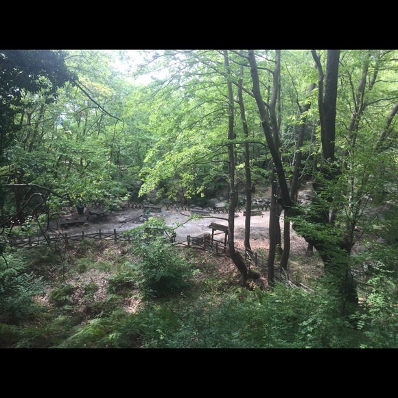 Profile Picture of Sandra Thomas (@mariagrh) on Poshmark