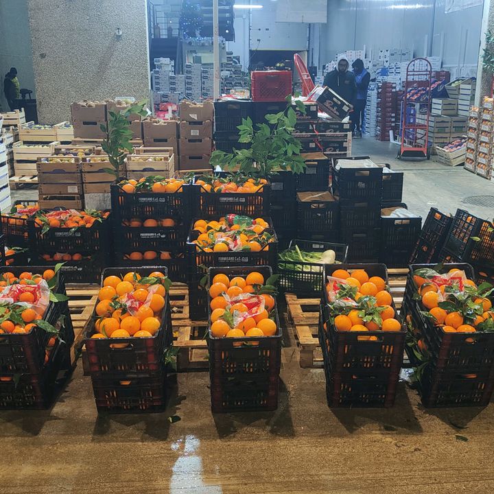 Profile Picture of Antonio Formisano85 (@antonioformisano1926) on Tiktok