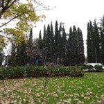 Profile Picture of Darwin (@darwindouglas22m) on Instagram