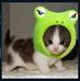 Profile Picture of Adam Delmore (@Adam-Delmore) on Facebook
