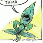 Profile Picture of jericho (@that_skunky_funky_green_shit) on Instagram