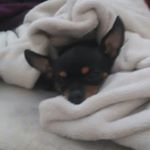 Profile Picture of pedro saez (@saezp361) on Instagram