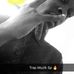 Profile Picture of Jason Galiano Afonso (@wilson.menezes.9083) on Facebook