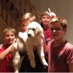 Profile Picture of brazier_james (@brazier_james) on Instagram