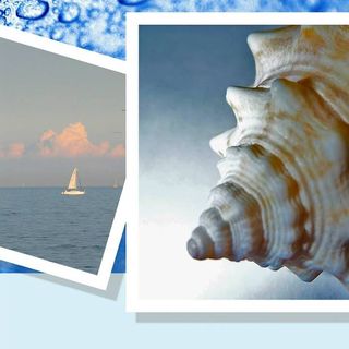 Profile Picture of David Thonney (@charles.d.thonney) on Facebook