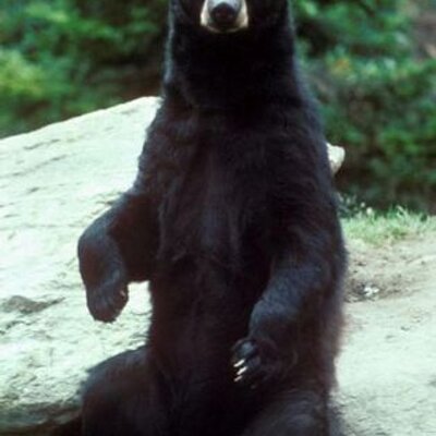 Profile Picture of Joe Mosher (@XLinformation) on Twitter