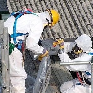 Profile Picture of Andy Revell (@asbestos-garage-removal) on Myspace