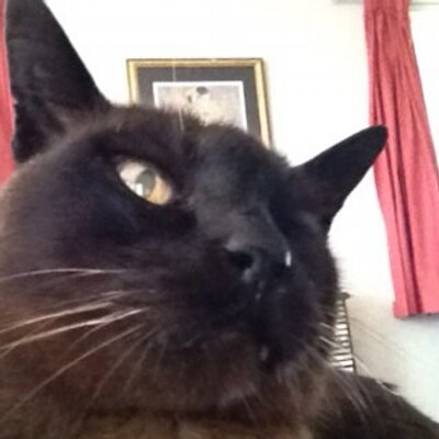 Profile Picture of Donna Steven (@donnasteven2210) on Twitter