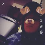 Jesse Talley - Instagram Profile Picture of Jesse Talley (@824skcusefil) on Instagram