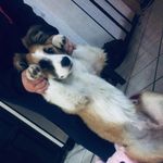 Profile Picture of Karely Ramirez (@karely__ramirez) on Instagram