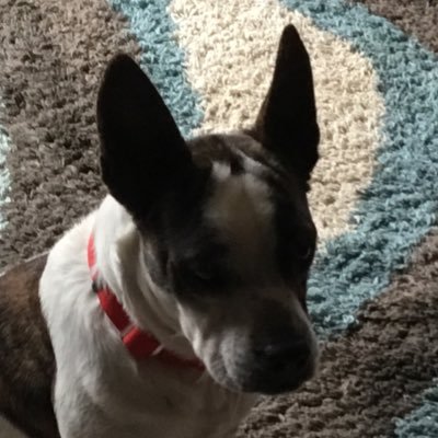 Profile Picture of Gavin Britton (@GavinBritton9) on Twitter